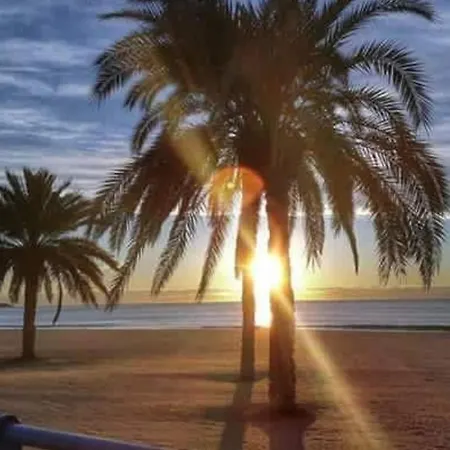My House Alicante